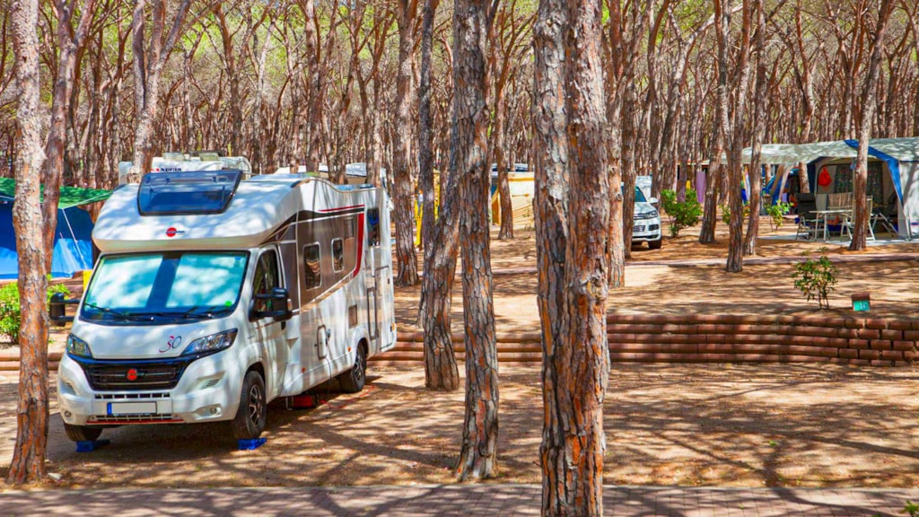 Staanplaats 6p - Pitch Premium