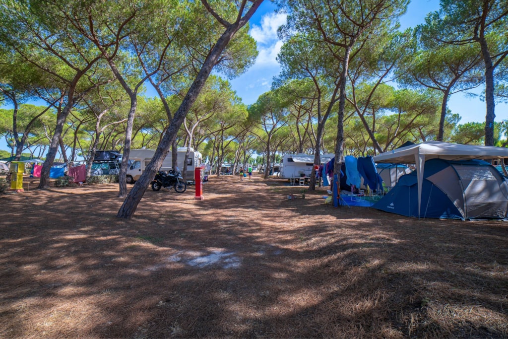 Staanplaats 6p - Pitch Pineta Platz