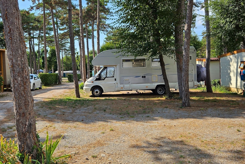 Staanplaats 6p - Pitch Pineta Platz