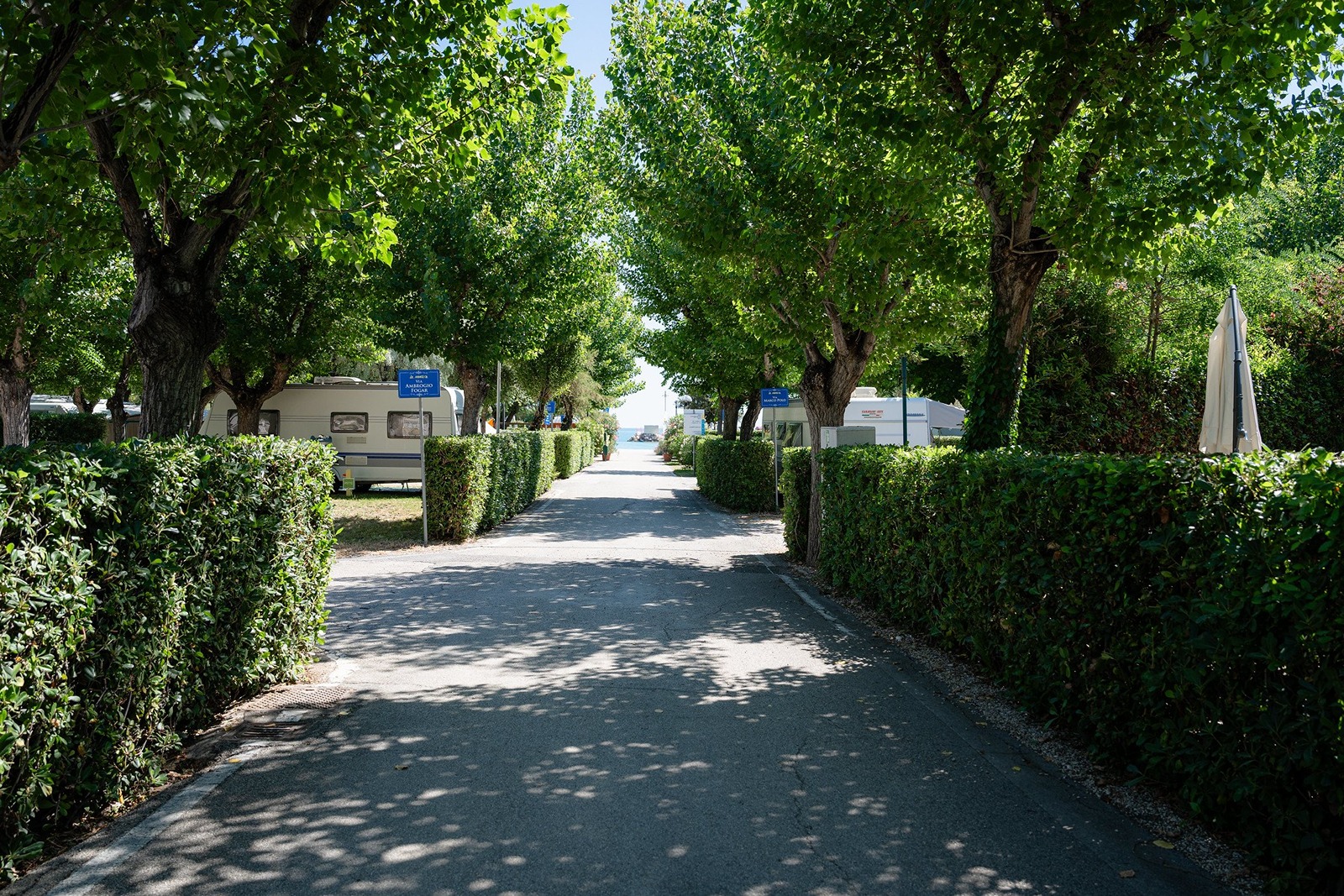 Voertuigen & Parkeervoorzieningen