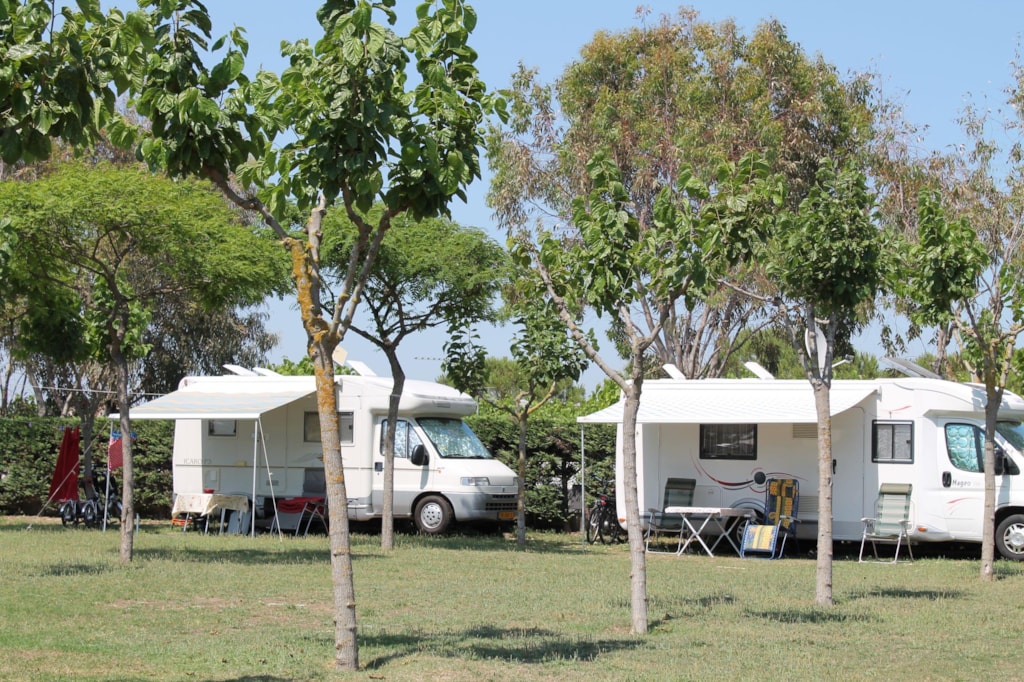 Pitch 6p - 64m2 : car + tent or caravan + electricity