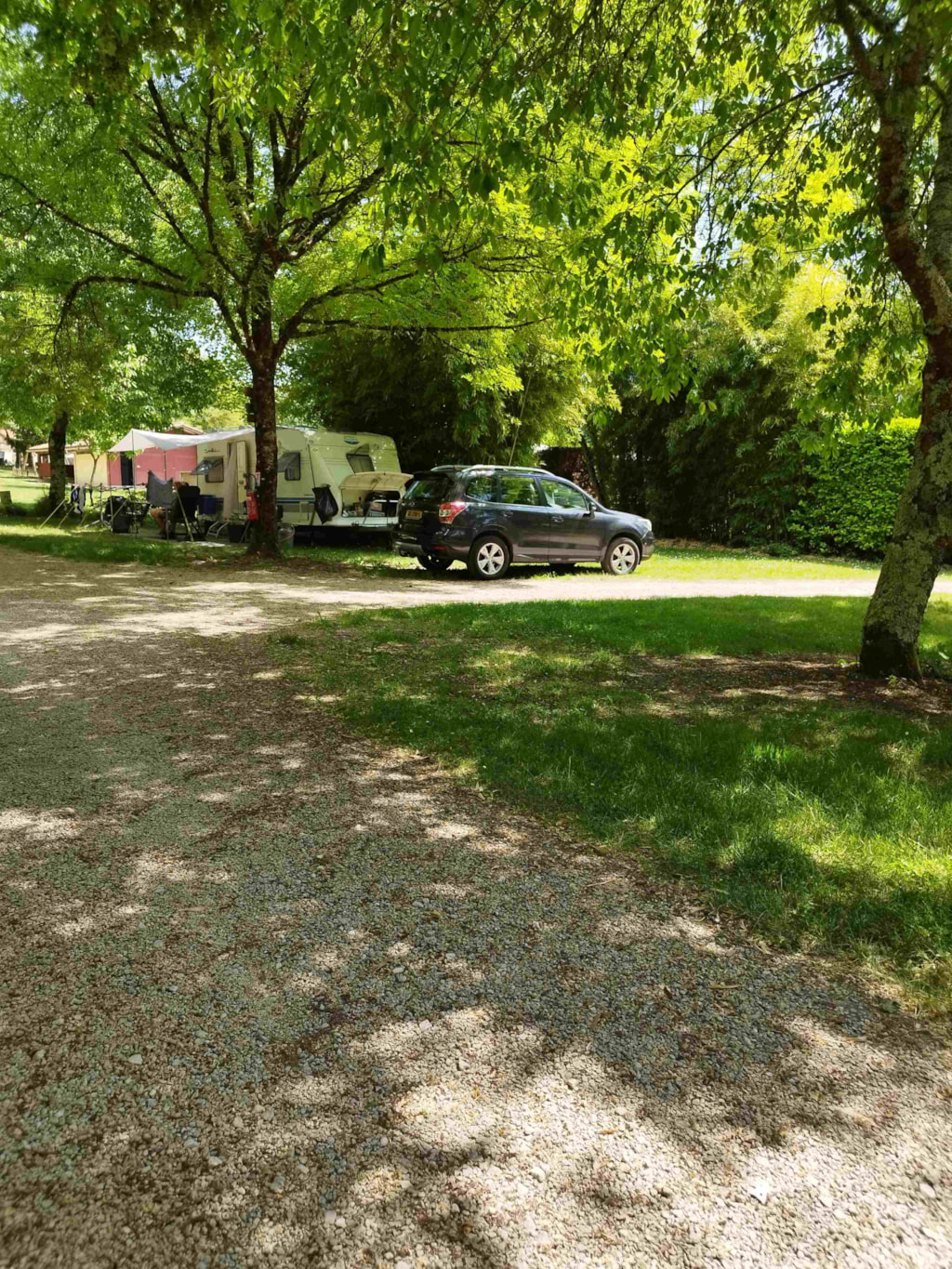 Staanplaats 6p - Pitch CONFORT tent or caravan (100-150m²)