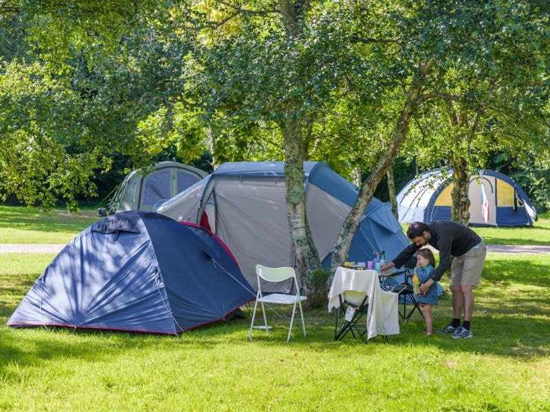 Staanplaats 6p - Tent / Caravan, 1 pers. + 1 car + electricity