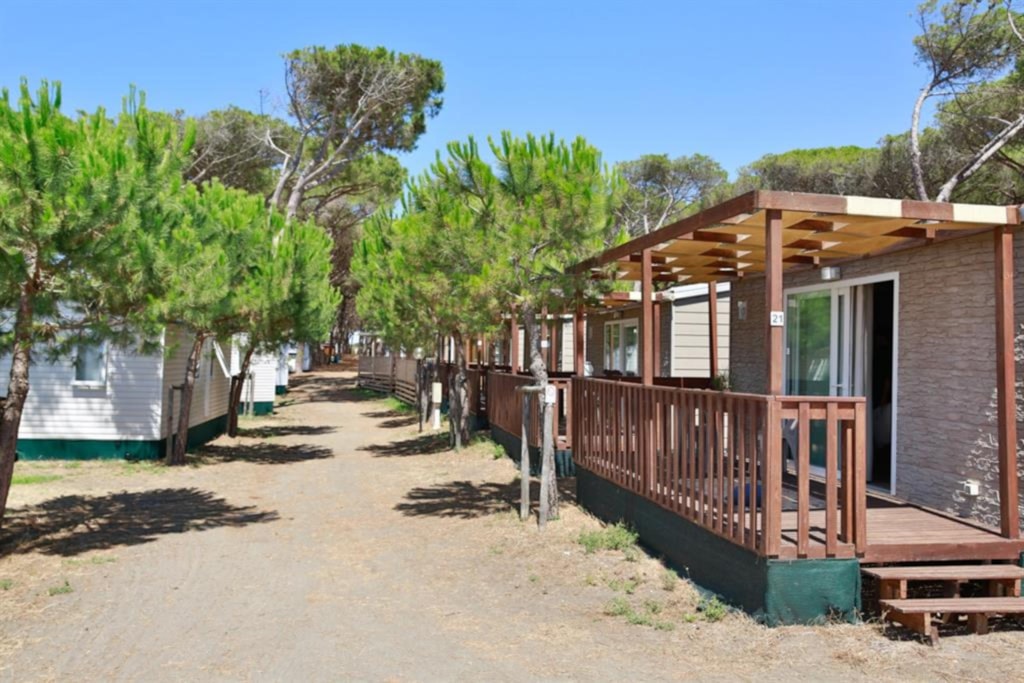 Lodge Comfort 1/2 Ppl.