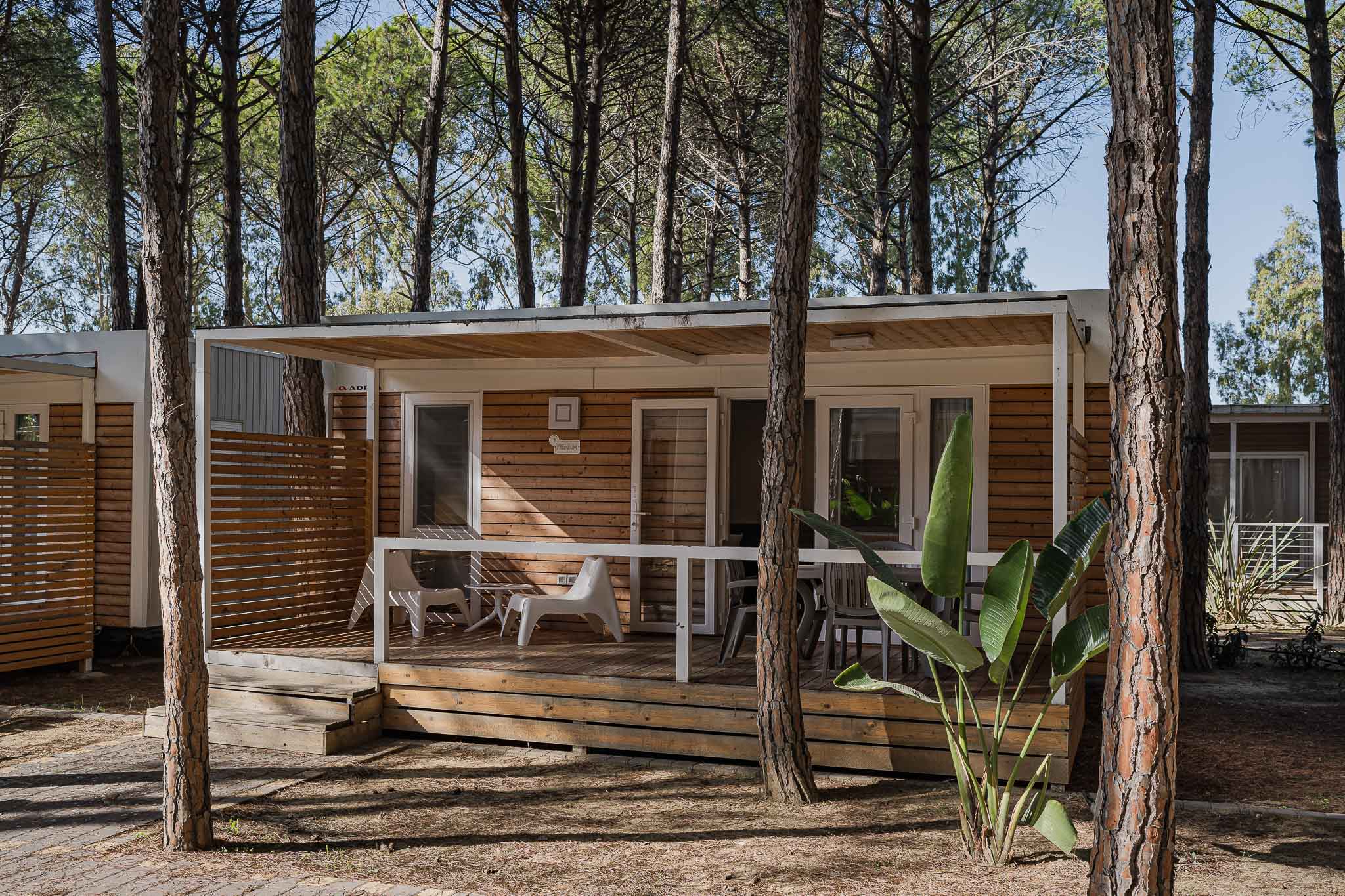 Mobile Home 4p - Premium 2024 Model