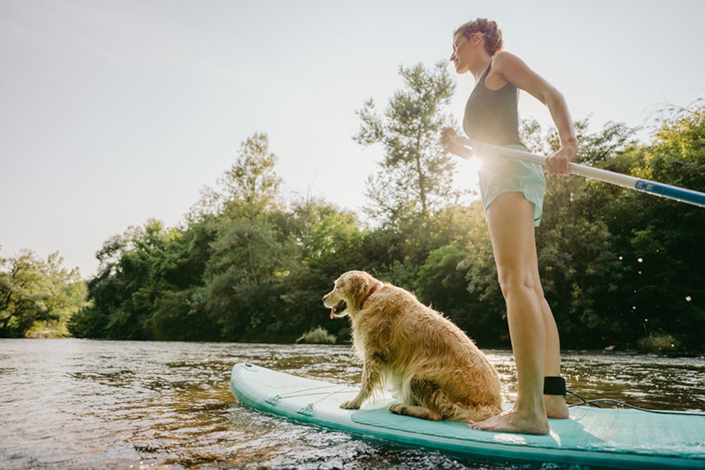 Water Sport possibilities