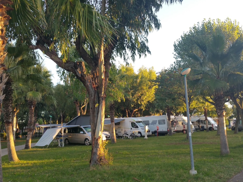 Pitch 4p - Pitch Standard 60/80 m2 - Pet Friendly 1-4 Pers.