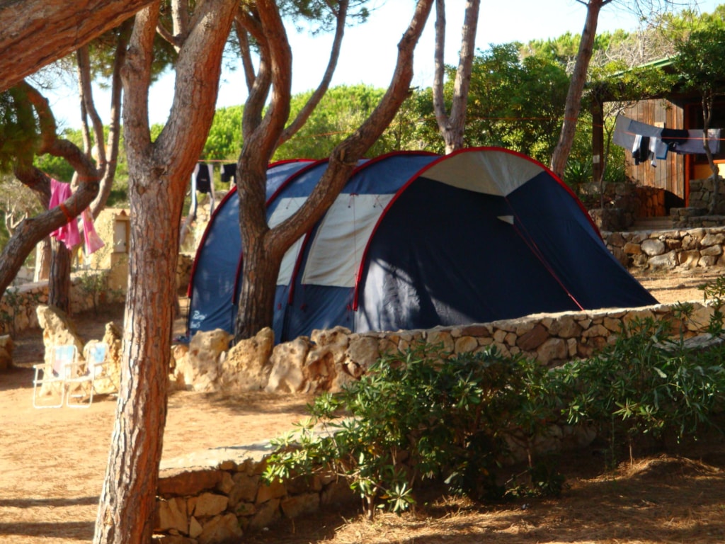 Pitch small tent + 1 parking