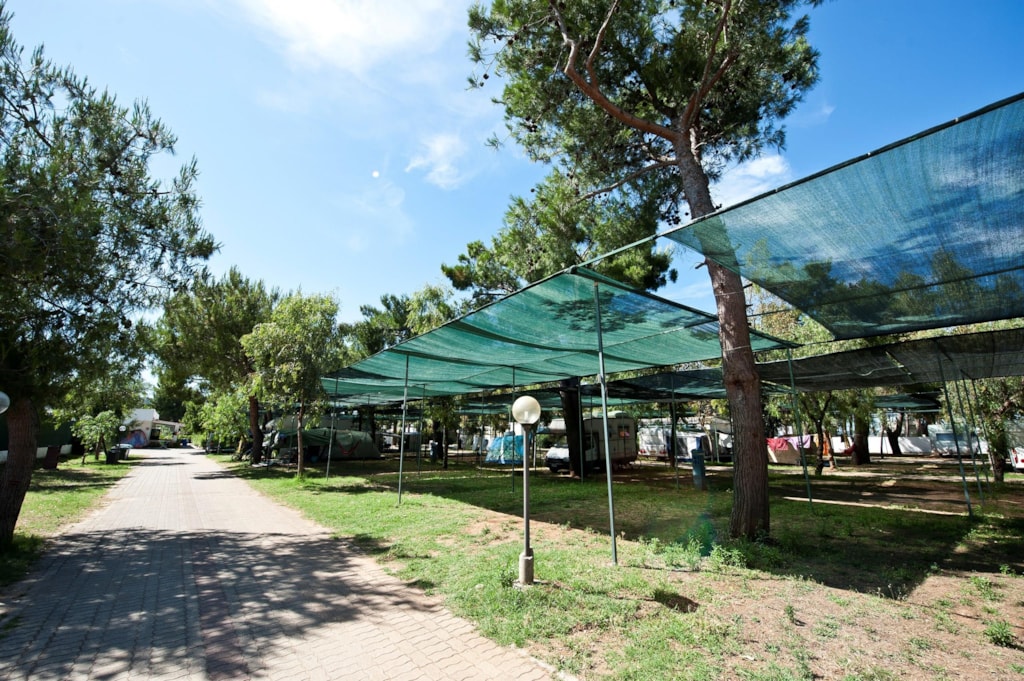 Pitch 6p - Caravan, Camper, Tent Price 1-6 Pers.Stellplatz