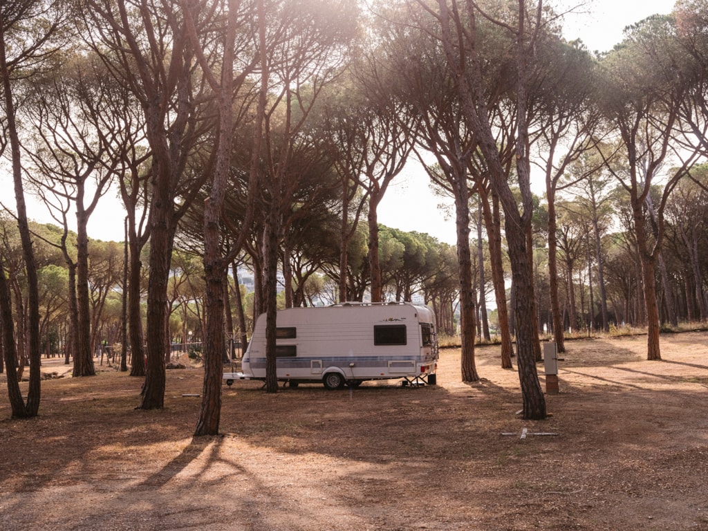 Pitch 6p - PLUS (no tents allowed)