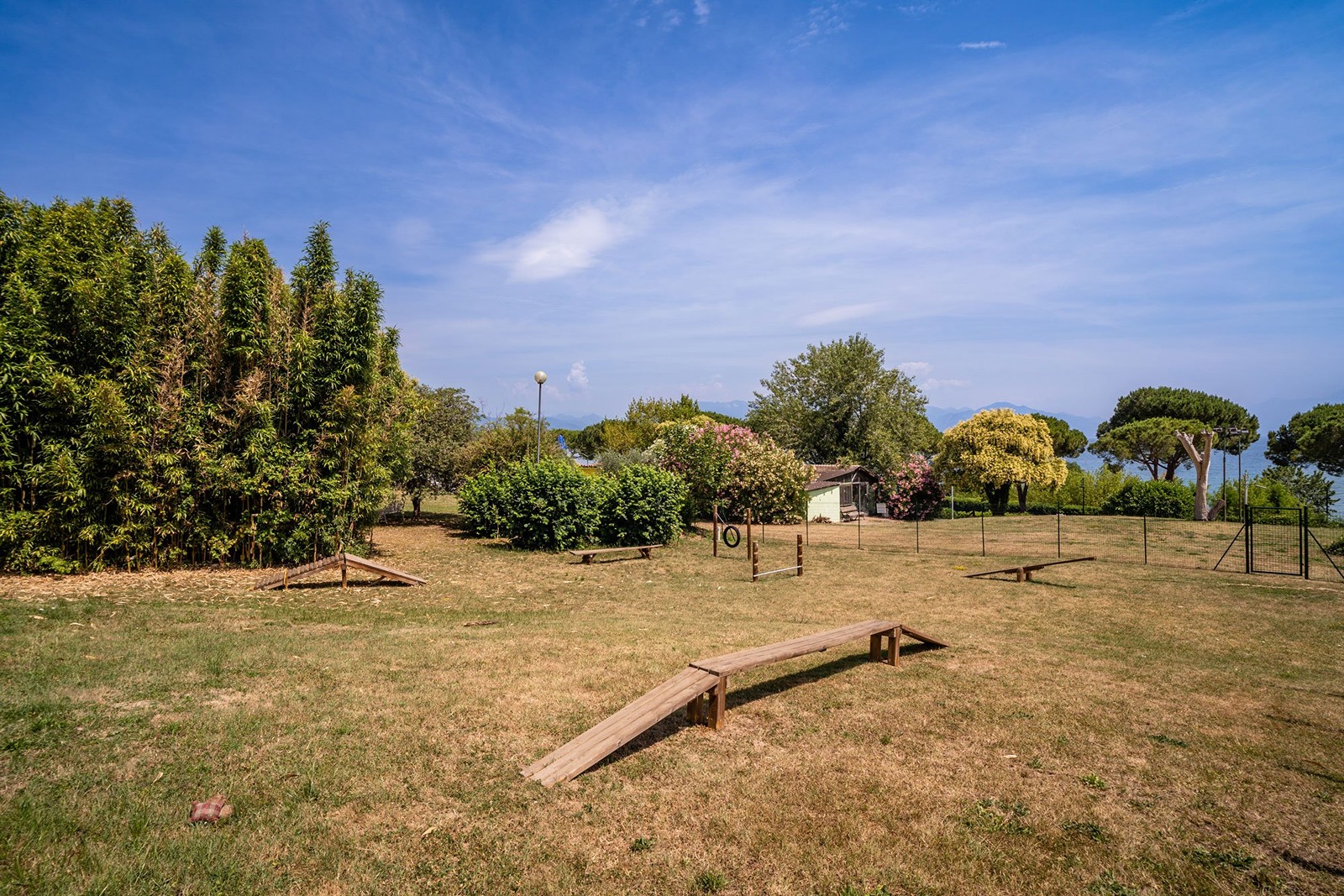 Huisdieren