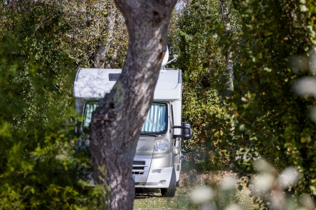 Pitch: car + tent or caravan + electricity