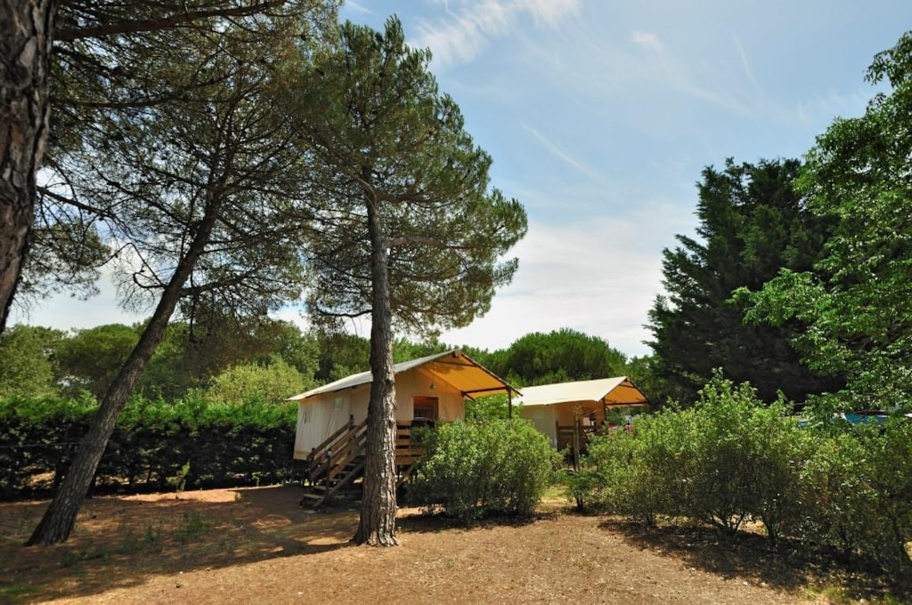Safaritent 4p - Canvas lodge on pile Standard 34m²