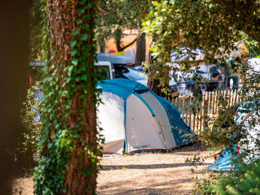 Pitch 6p - Comfort package: tent / van / electricity