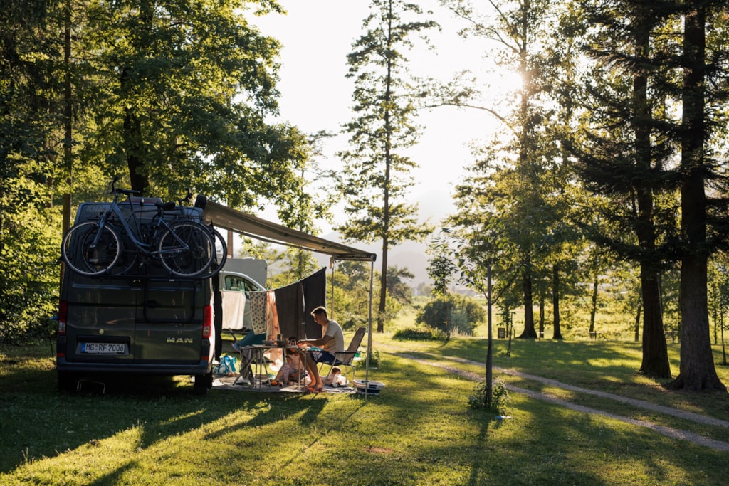 Pitch 6p - Standard pitch for a van / roof top tent / small camper (max length 6m) with mountain view