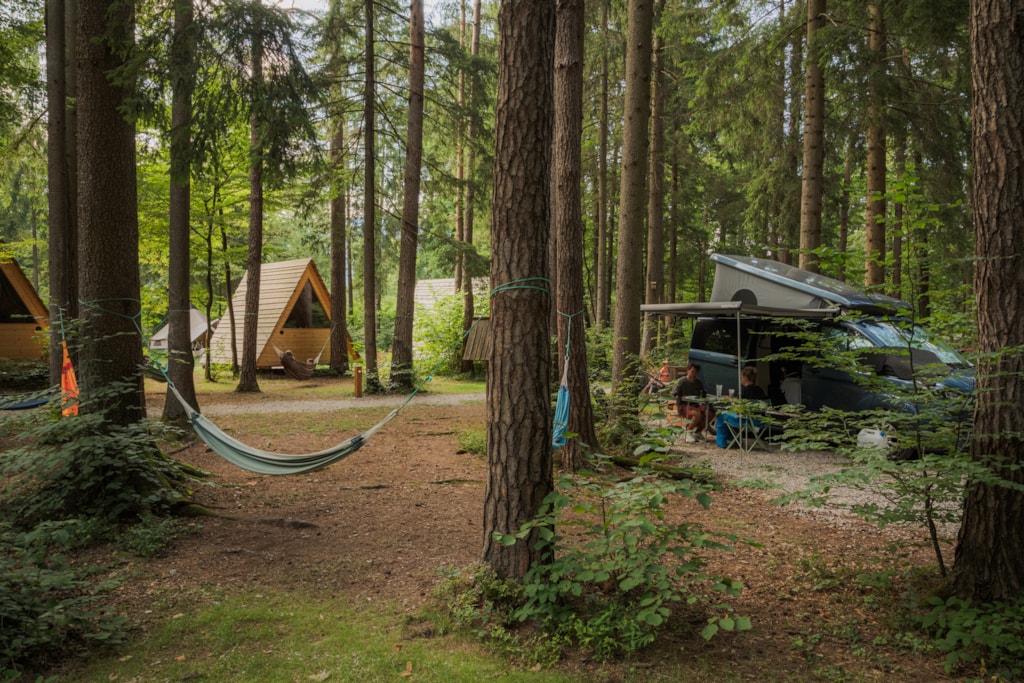 Pitch 6p - Medium pitch for a small van / roof top tent (max length 6m) - Forest area