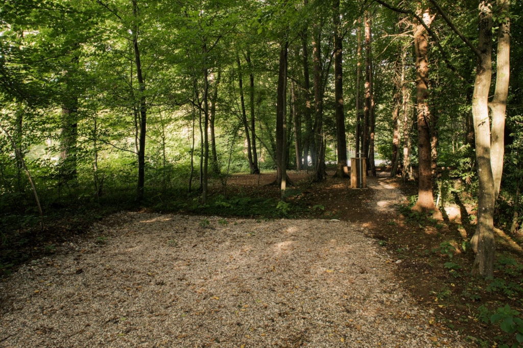 Pitch 6p - Medium pitch for a small camper/van/roof top tent - small forest area (max length 6m)