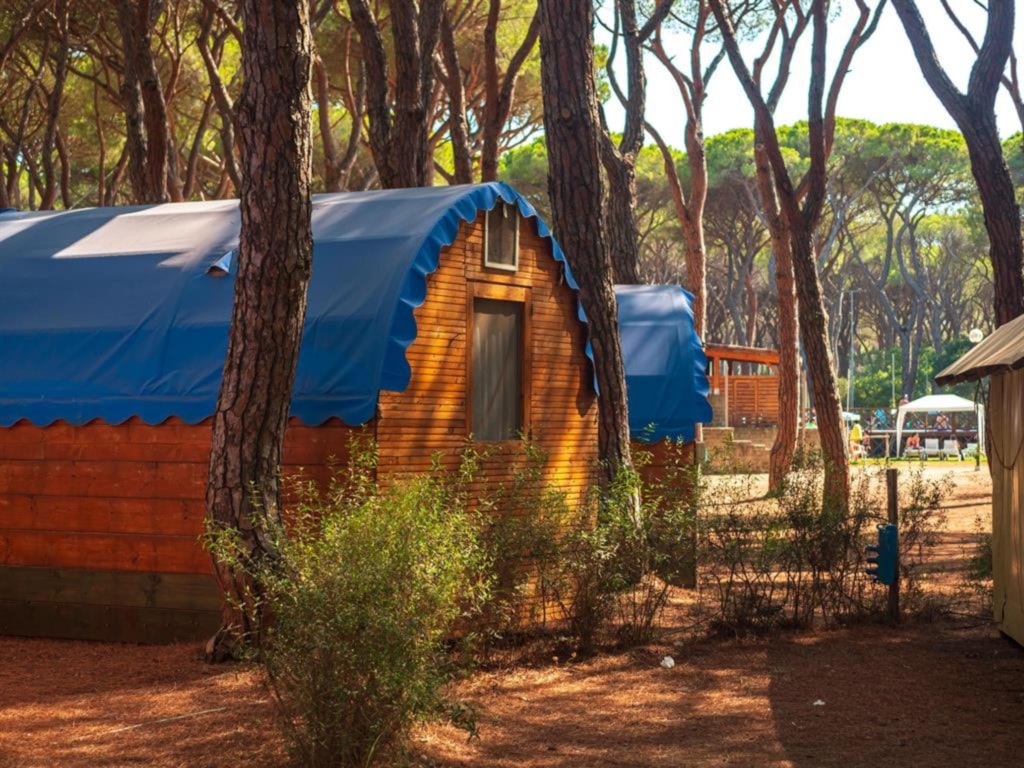 Woody Tent 1/2 Ppl.