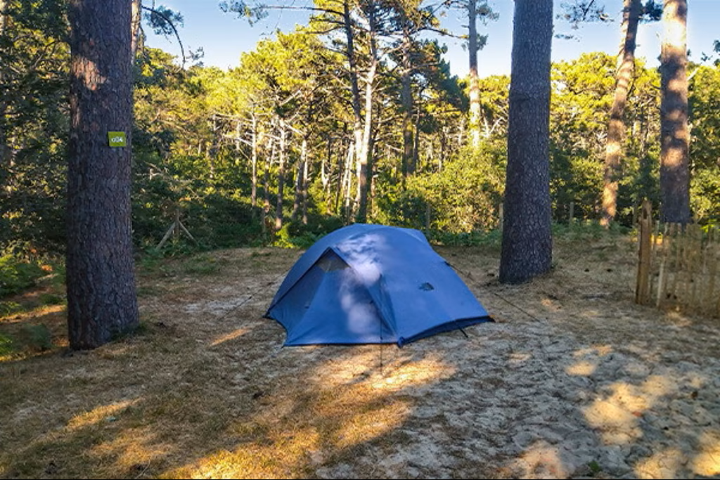 Staanplaats 6p - Pitch Essential | Tent and vehicle +7 m | 100-120 m² | Electricity, no water