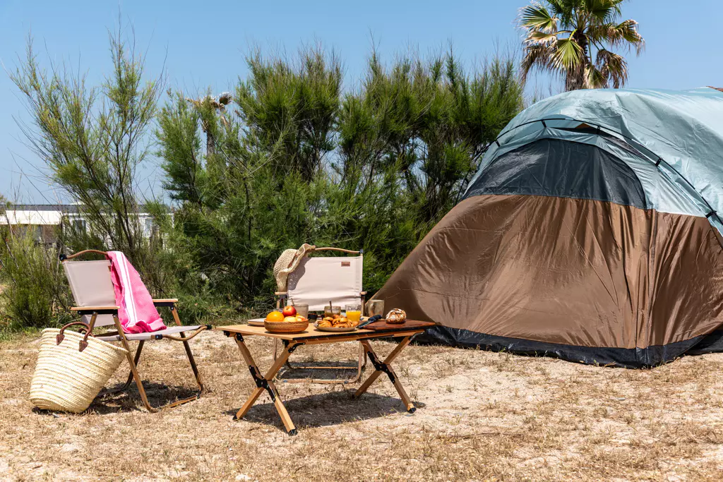 Standplaats Essentieel | Tent en voertuig -7 m | <100 m² | Elektriciteit, geen water