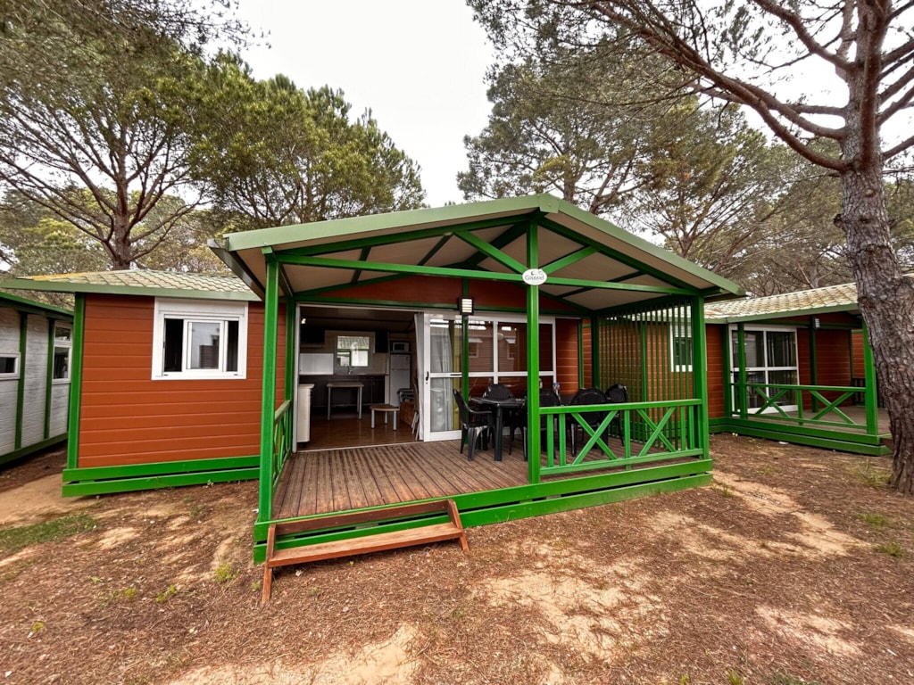 Chalet Classic XL - 37 m²- 3 bedrooms - Raised terrace