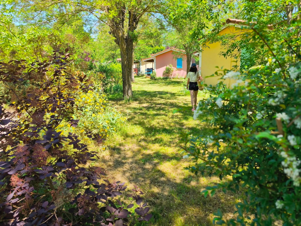 Chalet 2p - 1 slaapkamer