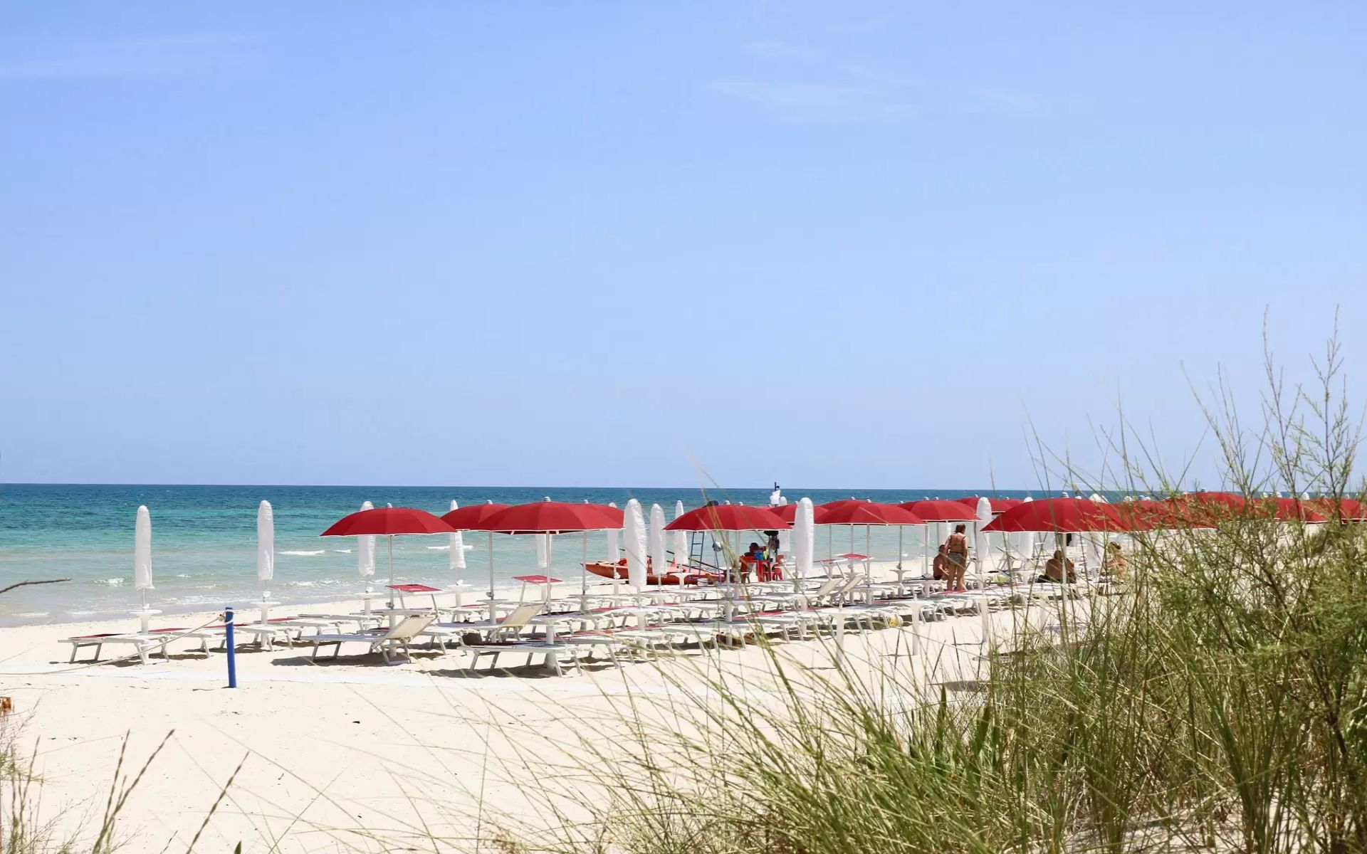 Strand en zee